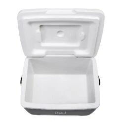 Merkloos Brisby 8 Liter Koelbox Met 2 Koelelementen - Black 8 Merkloos Brisby 8 Liter Koelbox Met 2 Koelelementen - Black -Merkloos 6638cd6604d9f5.25239323